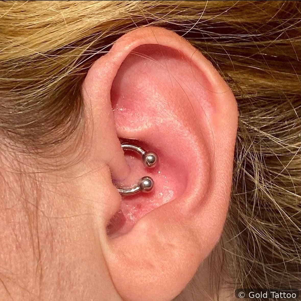 Daith piercing by Jordan at Gold Tattoo Vegas, downtown Las Vegas